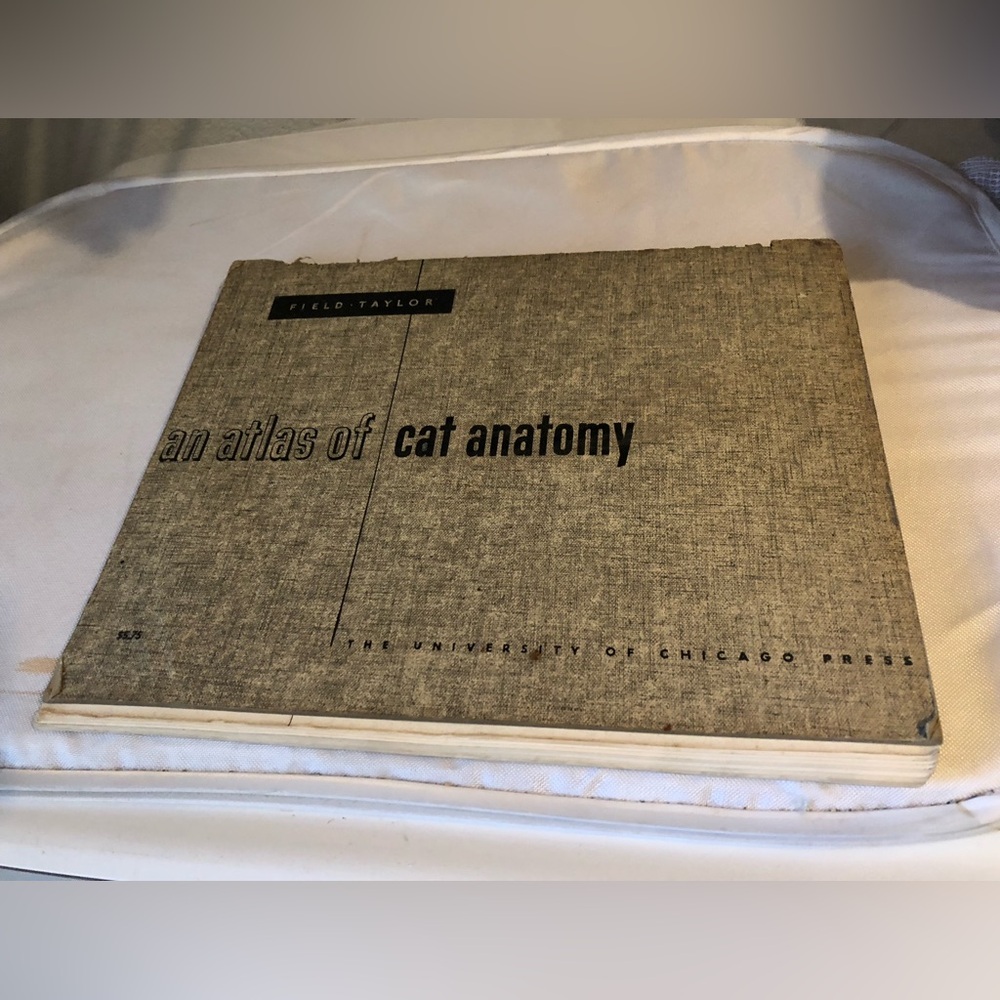 An Atlas of Cat Anatomy Book - 865 $15 or $12 w/offer